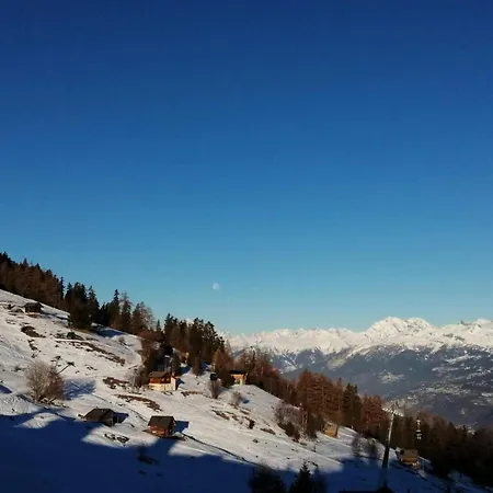 Modern Near Area Вейзона